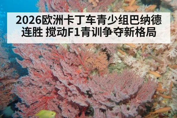 2026欧洲卡丁车青少组巴纳德连胜 搅动F1青训争夺新格局